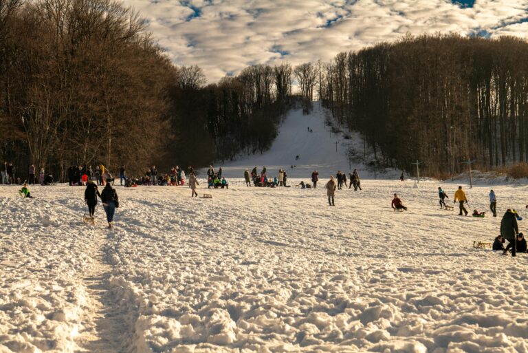 A snowy day in Daruvar with people sledding, walking, and enjoying winter in Bjelovarsko-bilogorska, Croatia.