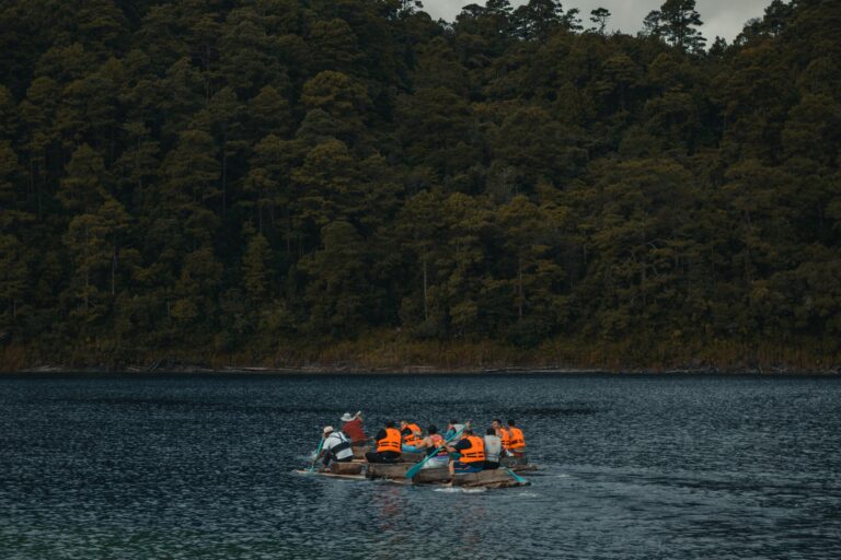 Group kayaking excursion on a calm lake surrounded by dense forest. Perfect outdoor adventure.